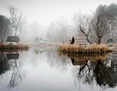 Çin səhranı dayandırmaq üçün kütləvi ağaclar əkdi, amma ciddi problemlə qarşılaşdı