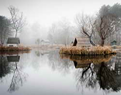 Ленинградский зоопарк призвал не фотографироваться с животными у входа
