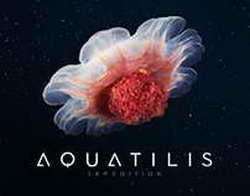 QR-код и биометрия, никаких наличных и пластика: в национальном мессенджере Max появится сервис бесконтактной оплаты