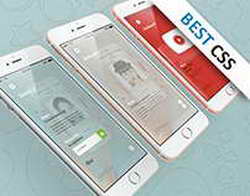 Любовь без памяти. Жена Басты отмечает 46-й день рождения вместе с ним в Биаррице
