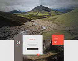 Робот или собака-поводырь: кто лучше на самом деле