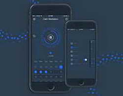 Тихий передел: раскрыто, как Мадьяр и Орбан поделят власть в Венгрии