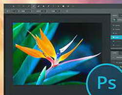 Apple выпустила новые Mac mini и Mac Studio. Компьютеры получили чипы M6, M5 Max и M5 Ultra